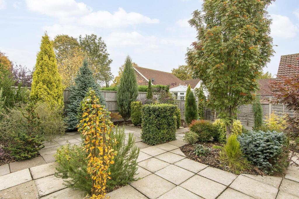 Garden -