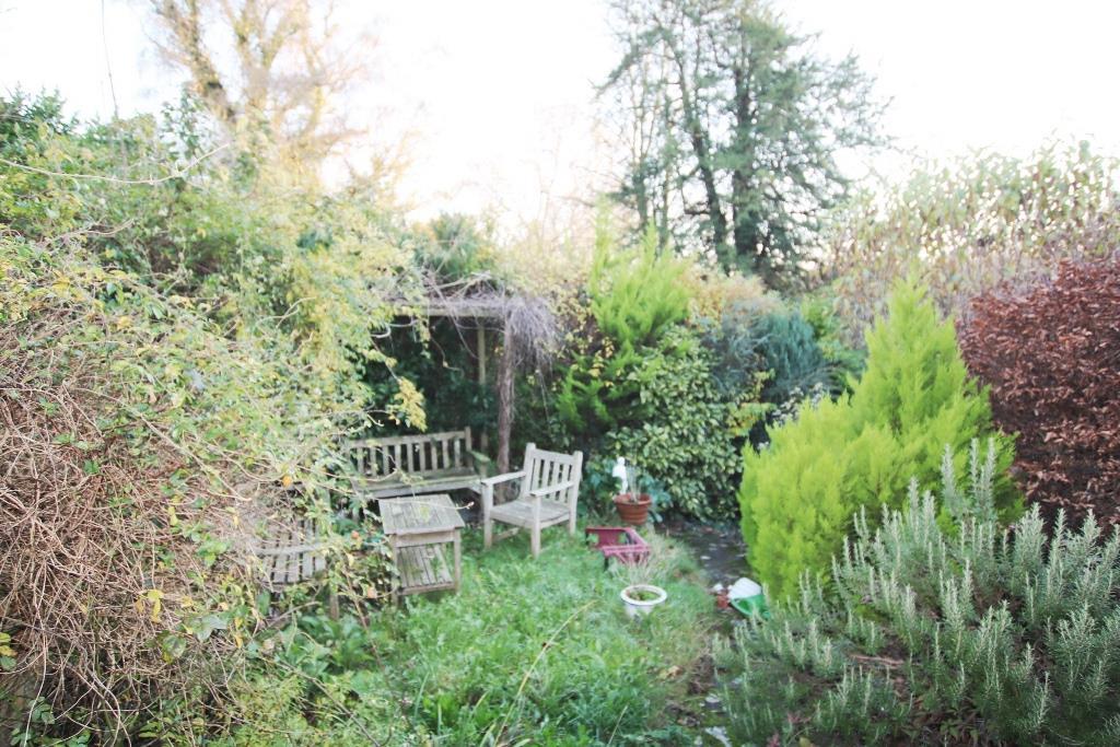 garden.JPG