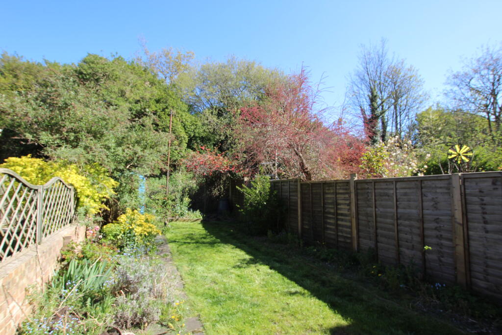 6 garden.JPG