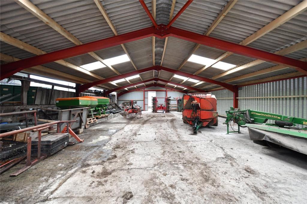 Modern Shed
