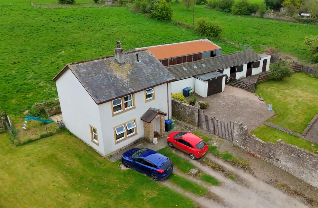 Joicey Dene.jpeg.png