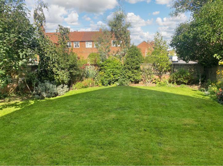 Front Garden