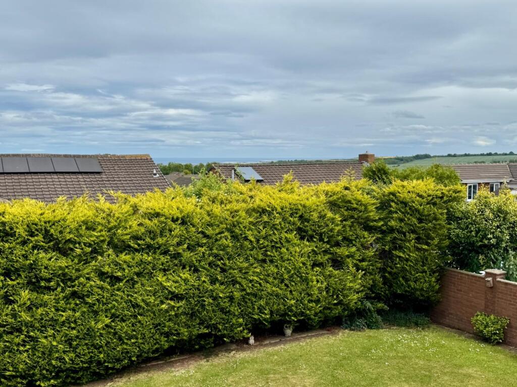 46094e98-d524-41ad-8e5b-a60e559940c1