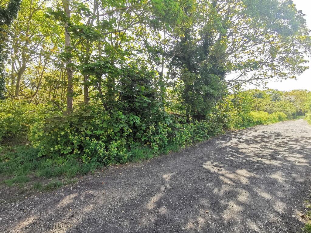 Green Lane