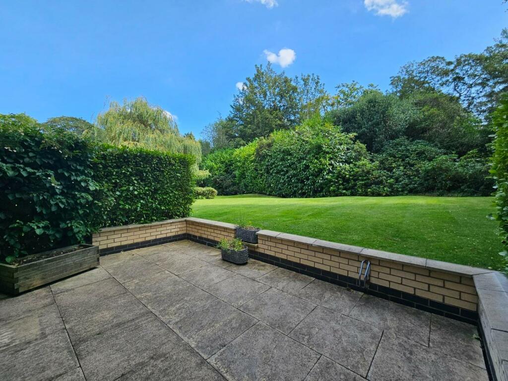 Patio Area