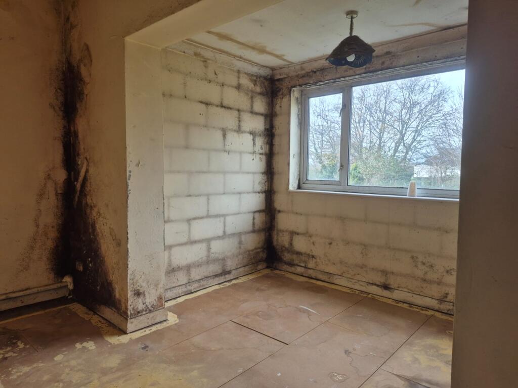 0771778A-A0A7-4C6F-B896-ADEB54682BAB T202511281131.jpg