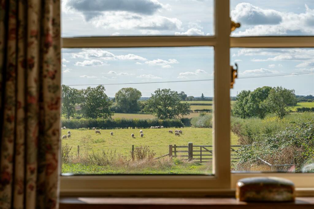 pasture43.jpg