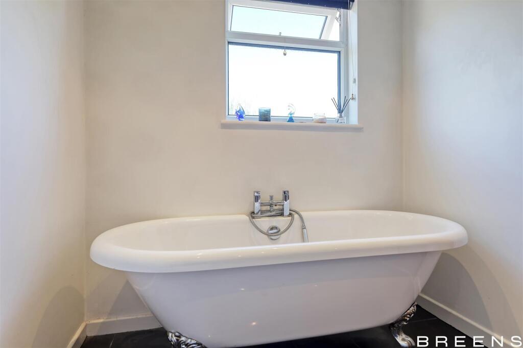 img_7737_5 copy 2.jpg