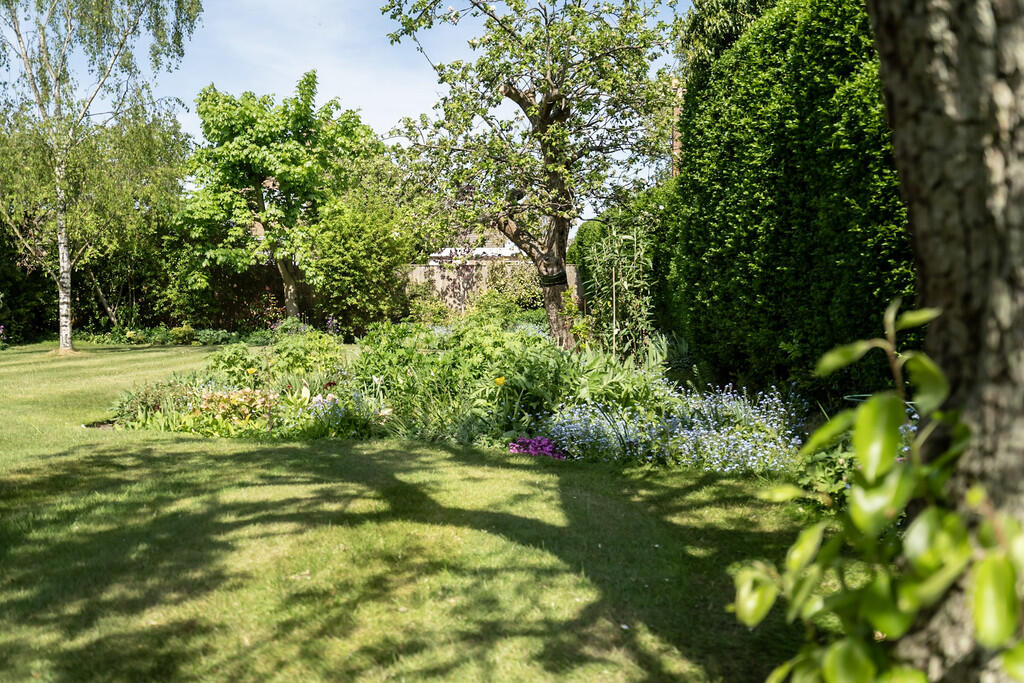 29-_DSC0457-HDR