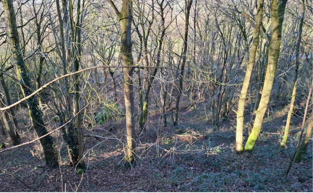 PHOTO-2025-07-03-20-10-30 T202507070743.jpg