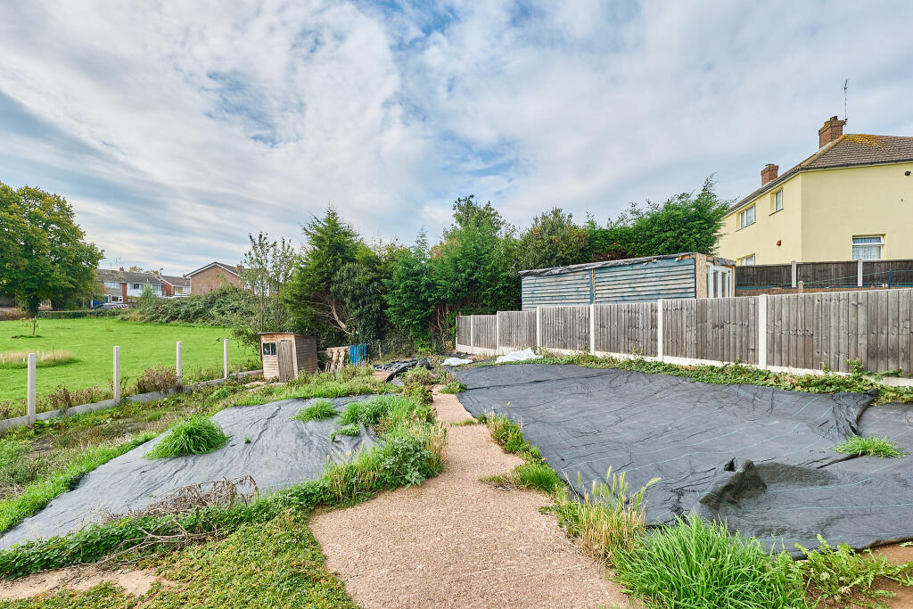 P1609025 T202510021641.jpg