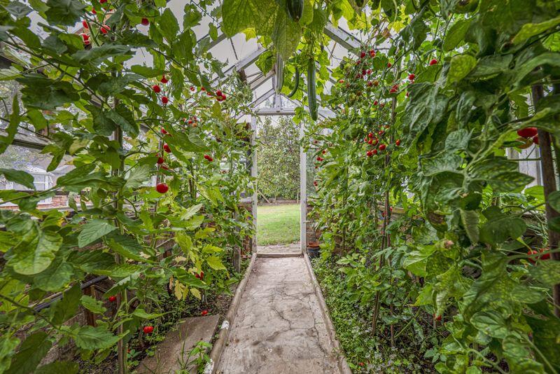 Greenhouse