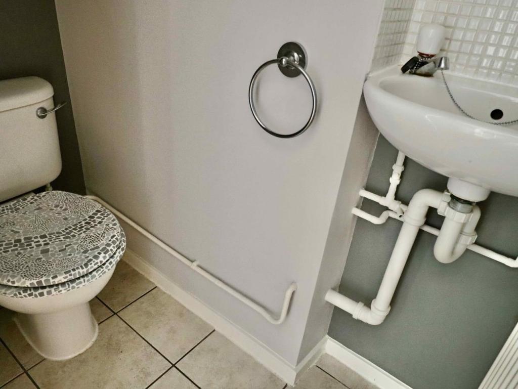 toilet.jpg