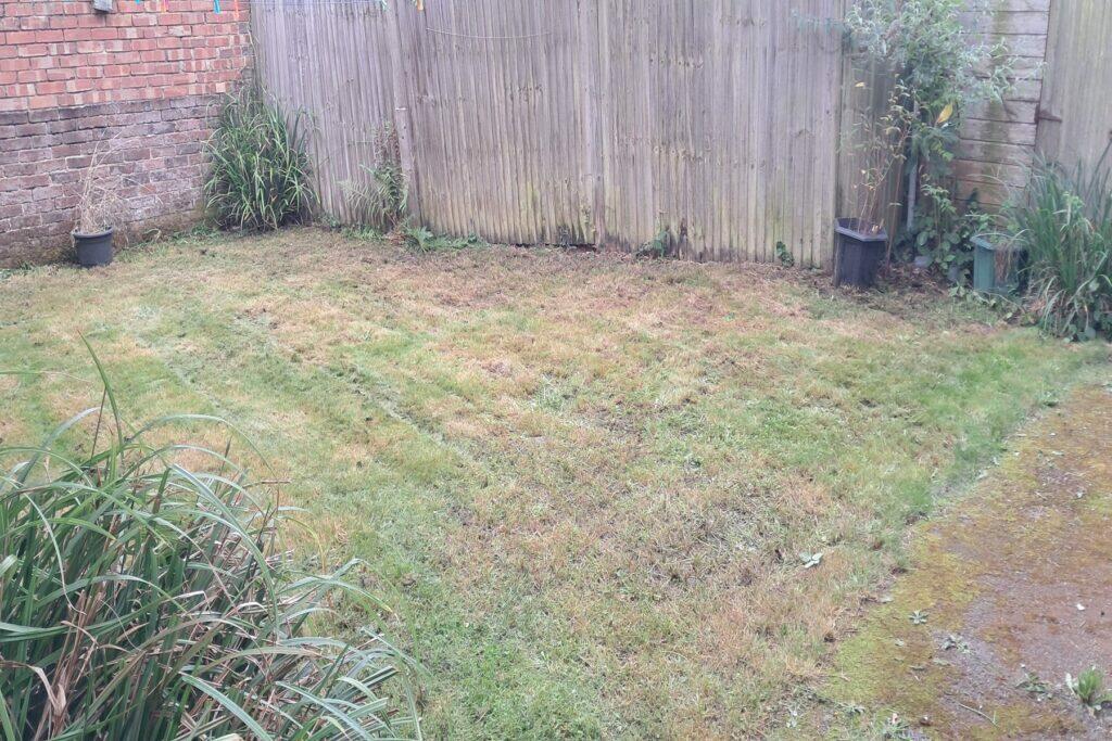 Colebrook Avenue - Rear Garden