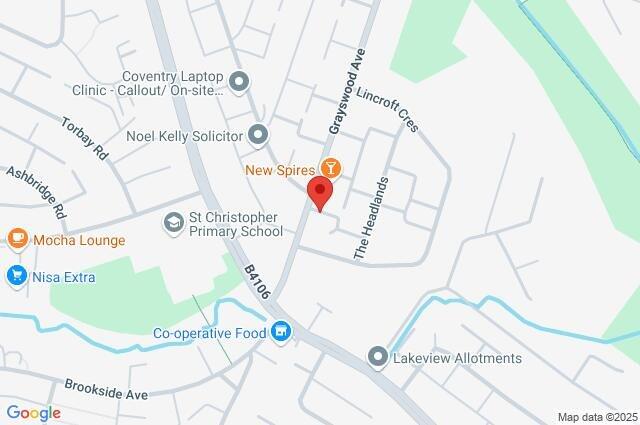Google Maps Image