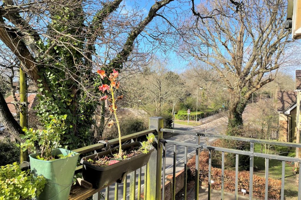 View from balcony