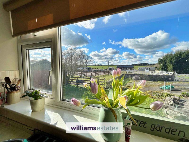 Kitchen View