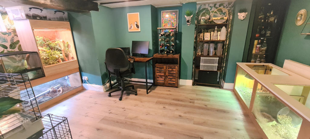 BASEMENT ROOM