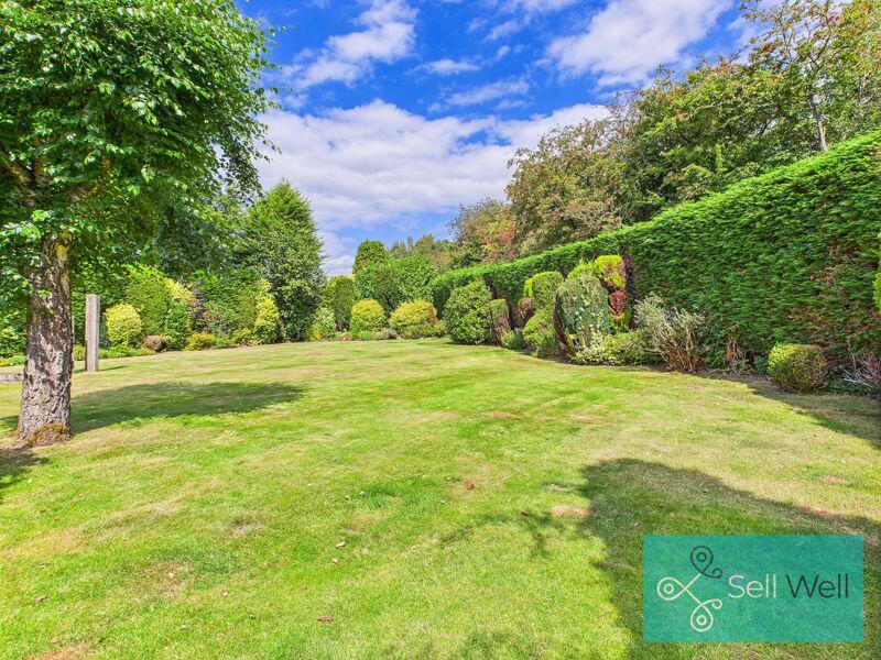 Back Garden