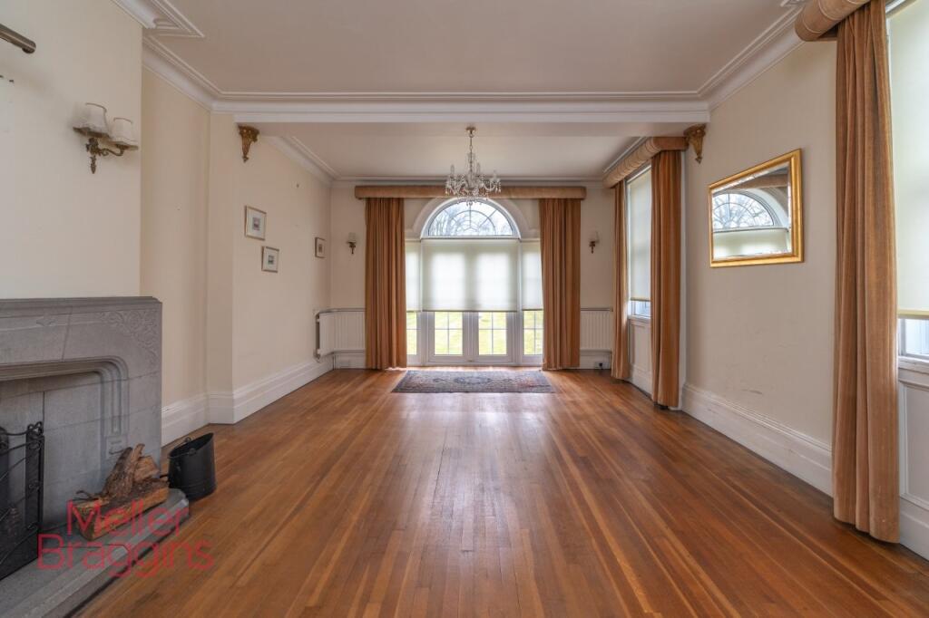 20250321-20250321-DSC07252 (2).jpg