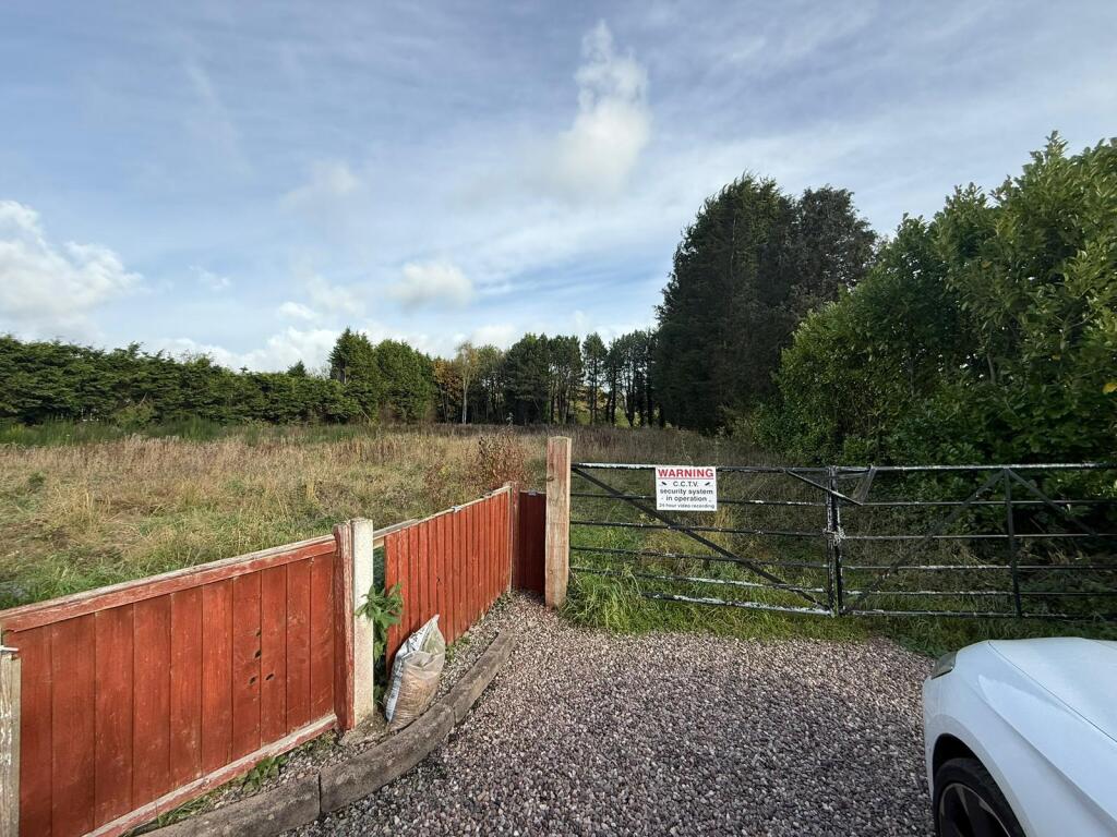 IMG 4064 T202510291306.jpg