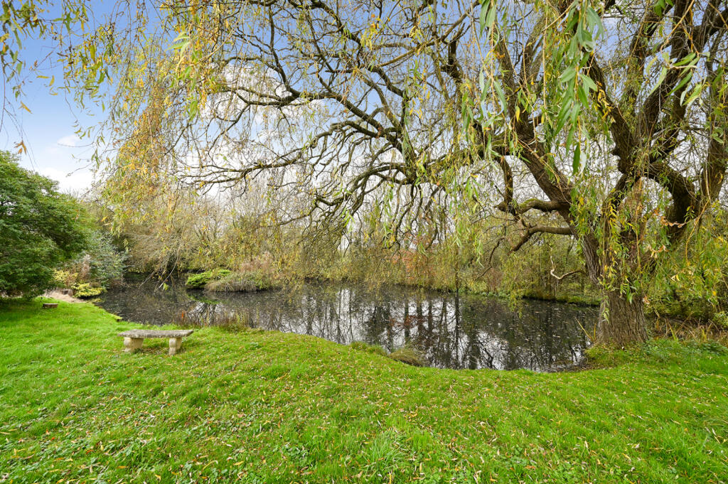 Picture 13