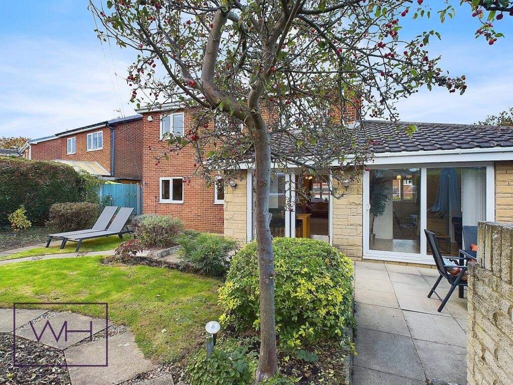 CAM03785G0-PR0156-ST