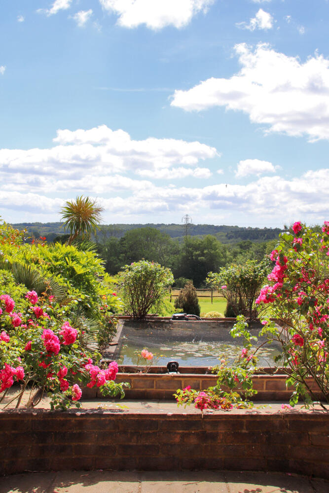 Pond View
