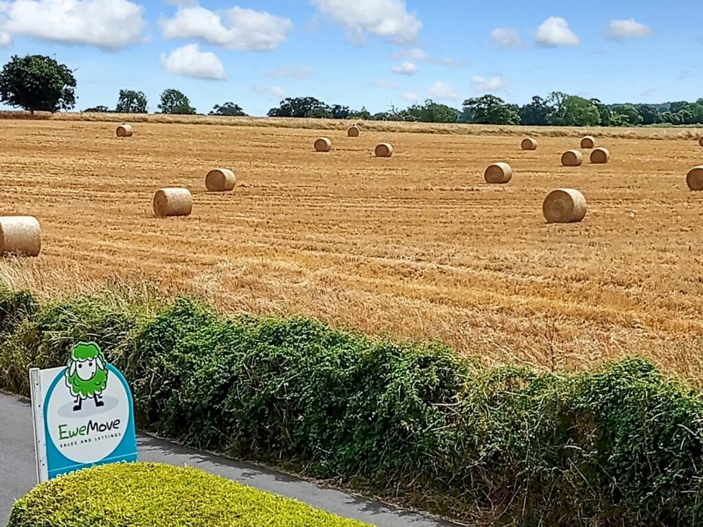 36673608-35de-4bba-8689-0bd5a2a0681f