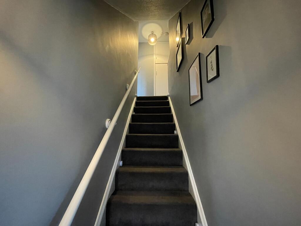 Photograph 12
