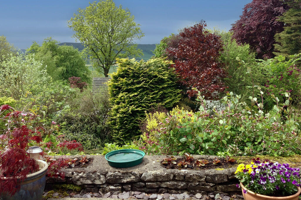 Garden in summer ...