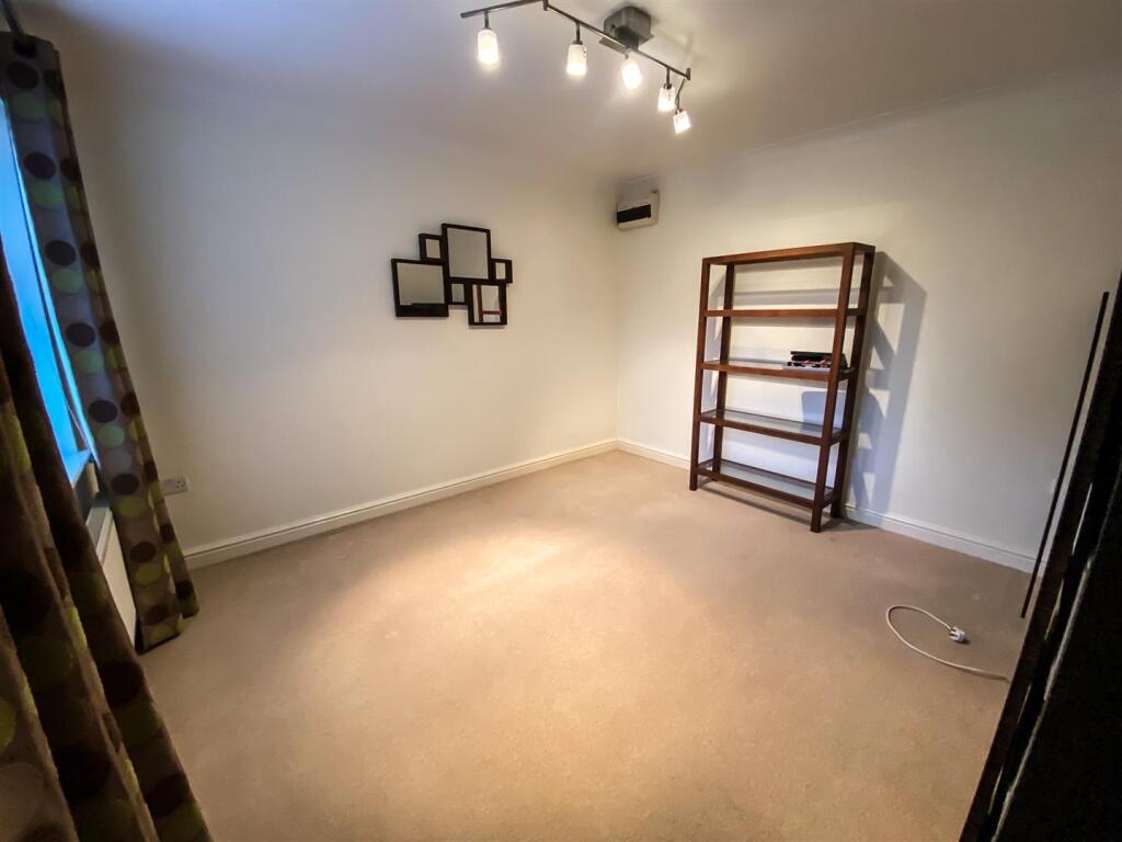 Monkey vs Owl Edit-3184.jpg