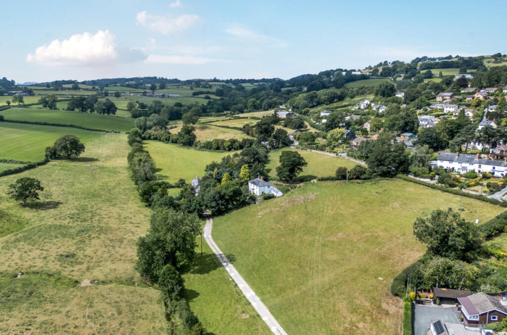 -68931bbb9184e-l-1330667 (7)