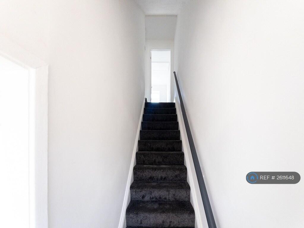 Stairs To The Second Flood