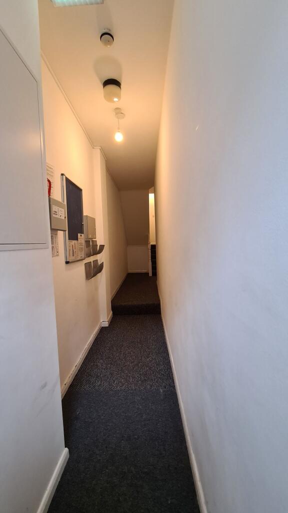 Photograph 11
