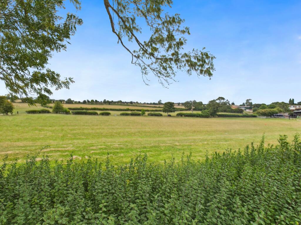 Field view to front aspect
