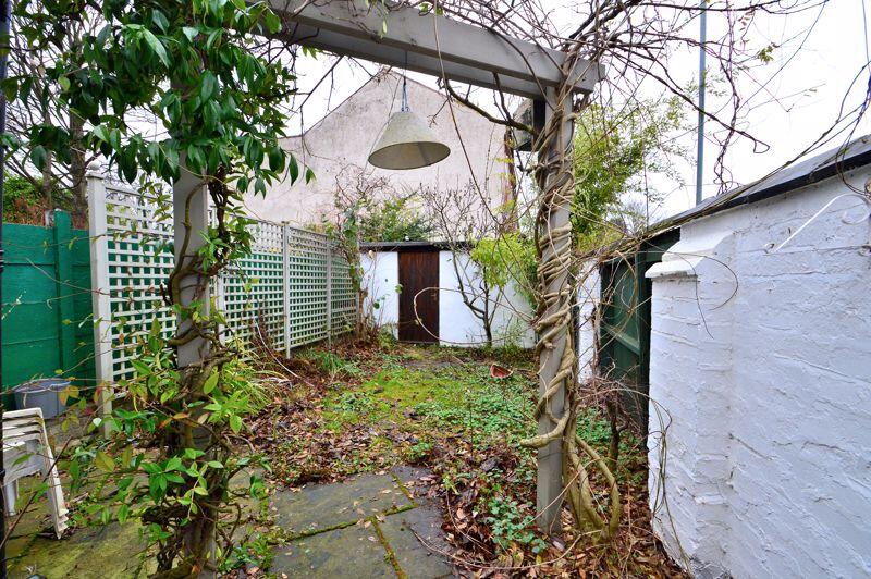 BACK GARDEN