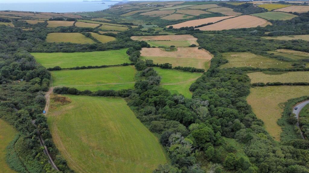 dji_fly_20250716_105806_459_1752659951586_photo_op