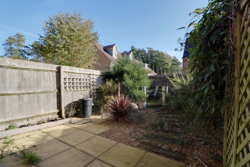 Back Garden