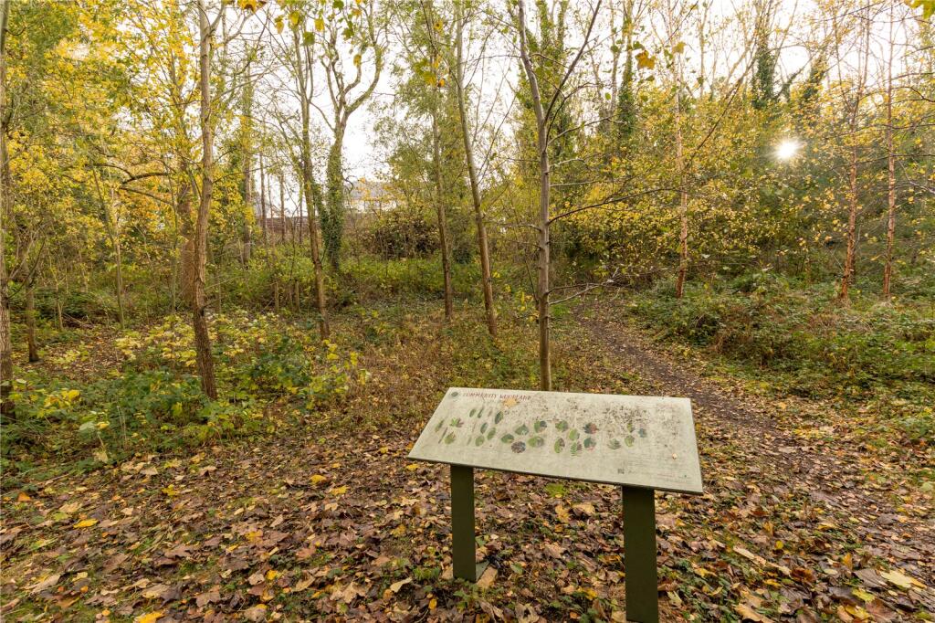 Woodland Walks