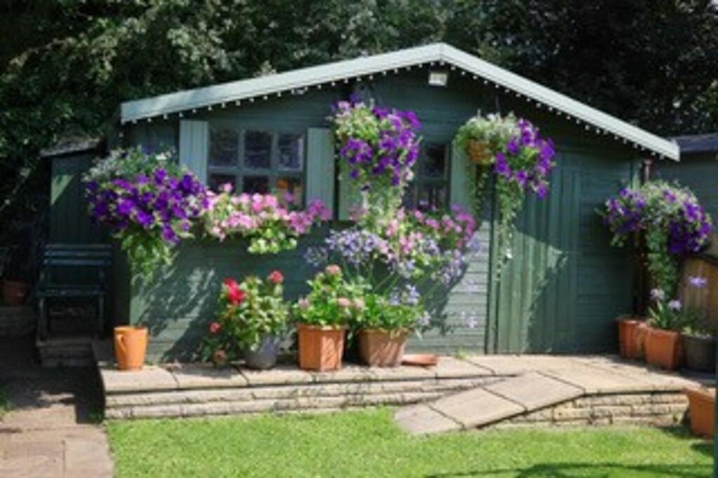 Shed