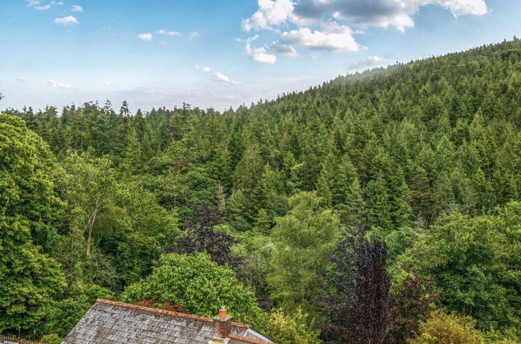 1303254-3-683e033...