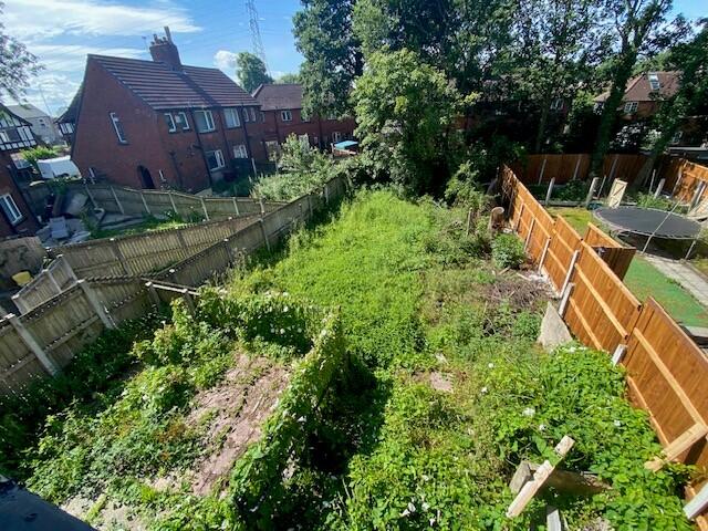 GARDEN 1 T202508041629.jpg