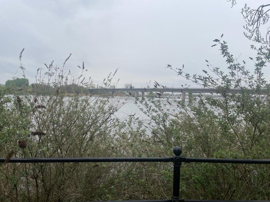 IMG 6023 T202504151154.jpeg