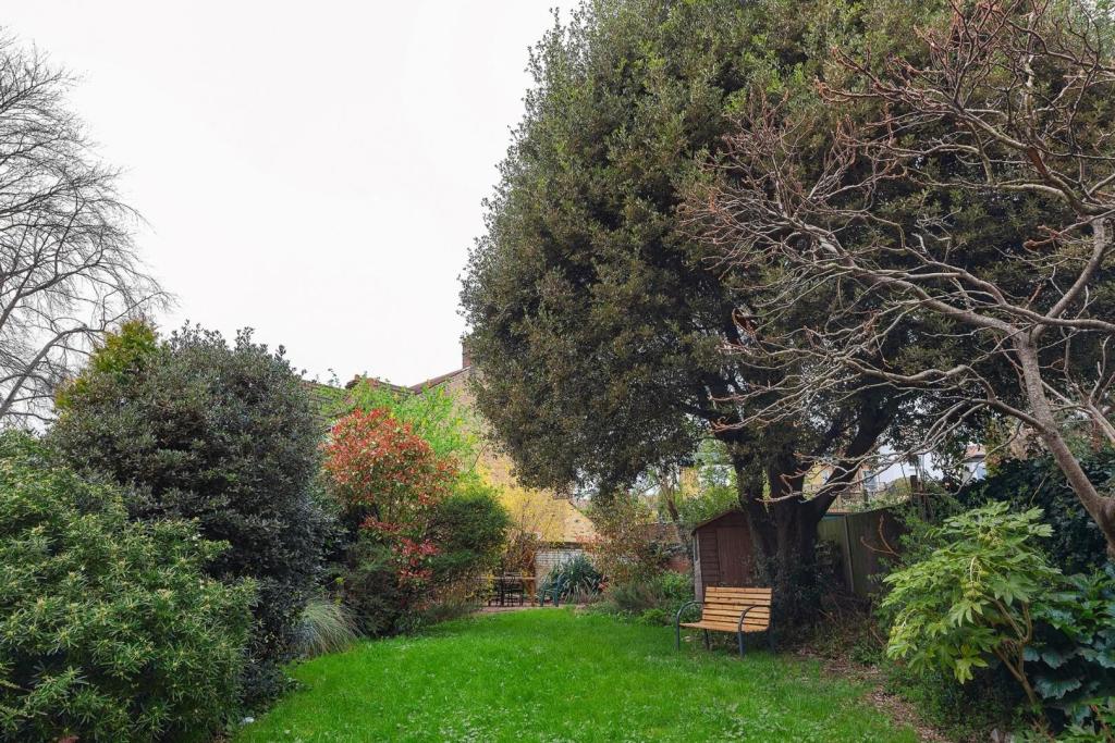 Garden (3).jpg