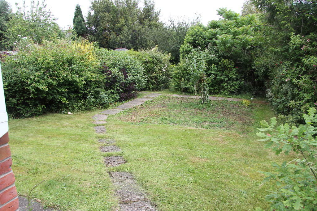 Photo 06
