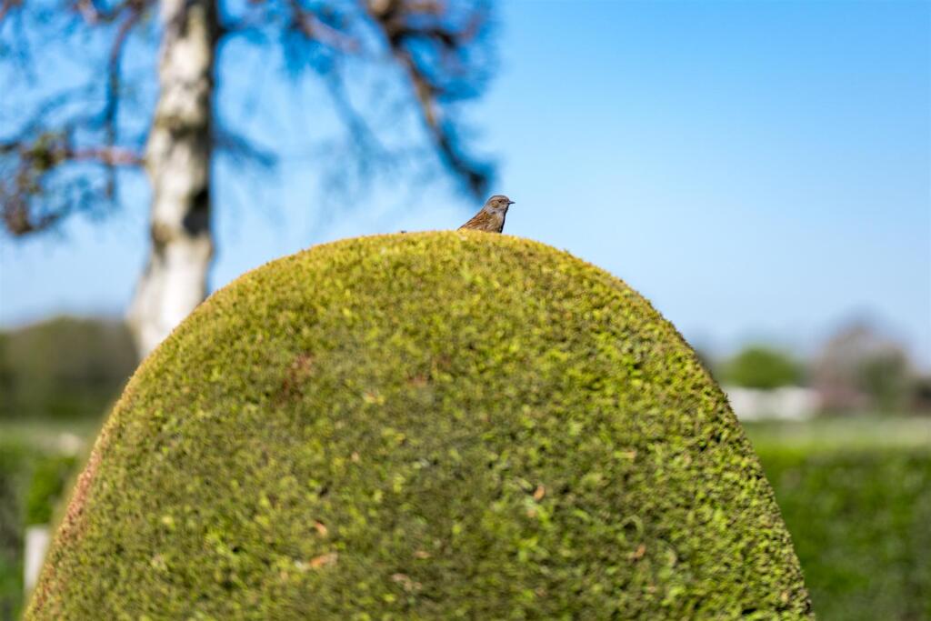 DSC_3900.jpg