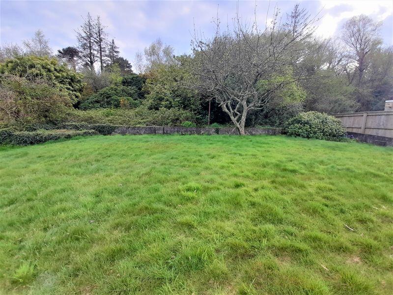 Lawn into Woodland (part of this prop...