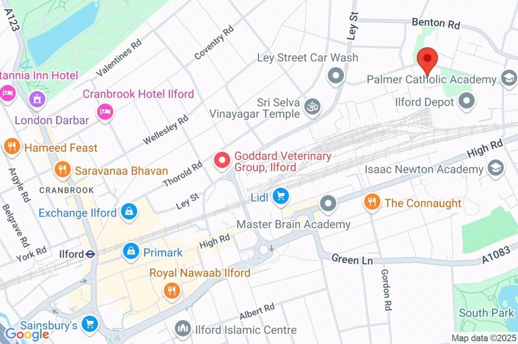 Google Maps Image
