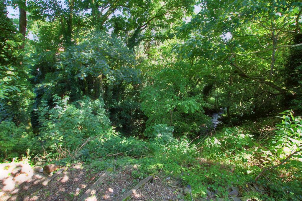 Woodland views and path